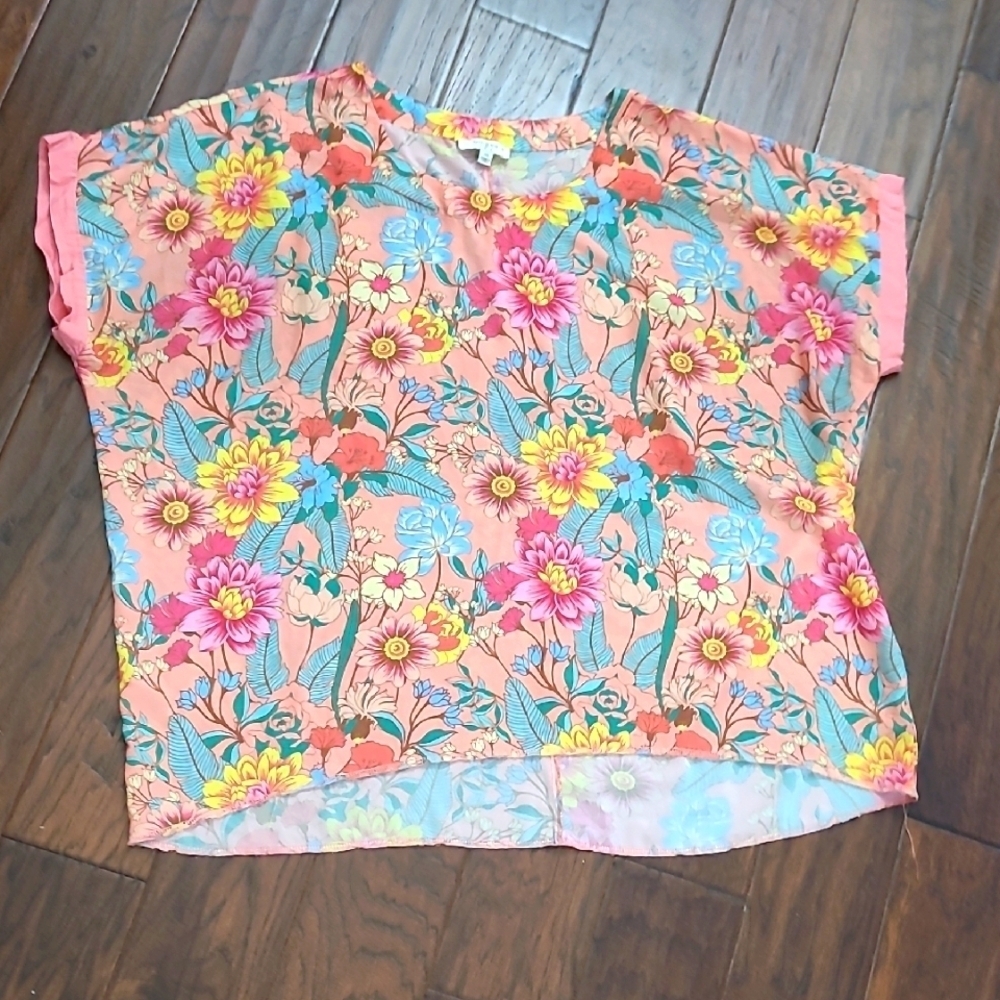 💥3for$12💥 Umgee Colorful Flora Semi Sheer Blouse size 2X